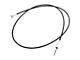 Speedometer Cable; Push In Type; 80-Inch (1971 Thunderbird)