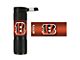 Flashlight with Cincinnati Bengals Logo; Orange